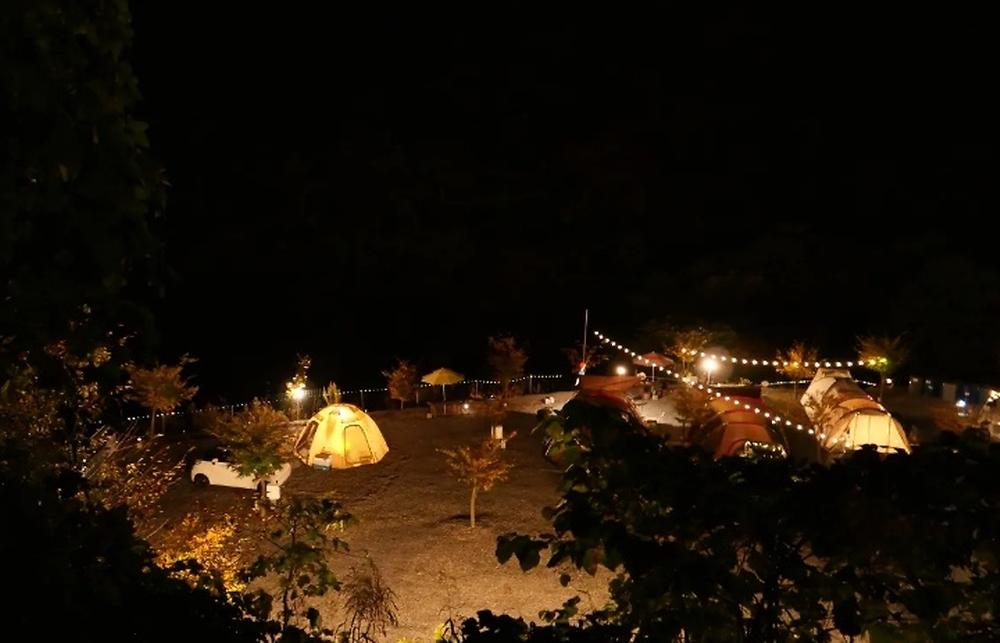 두더지CAMP