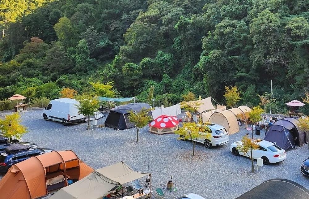 두더지CAMP