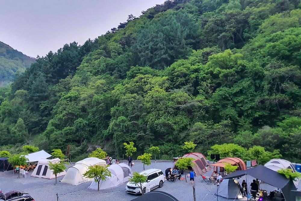 두더지CAMP