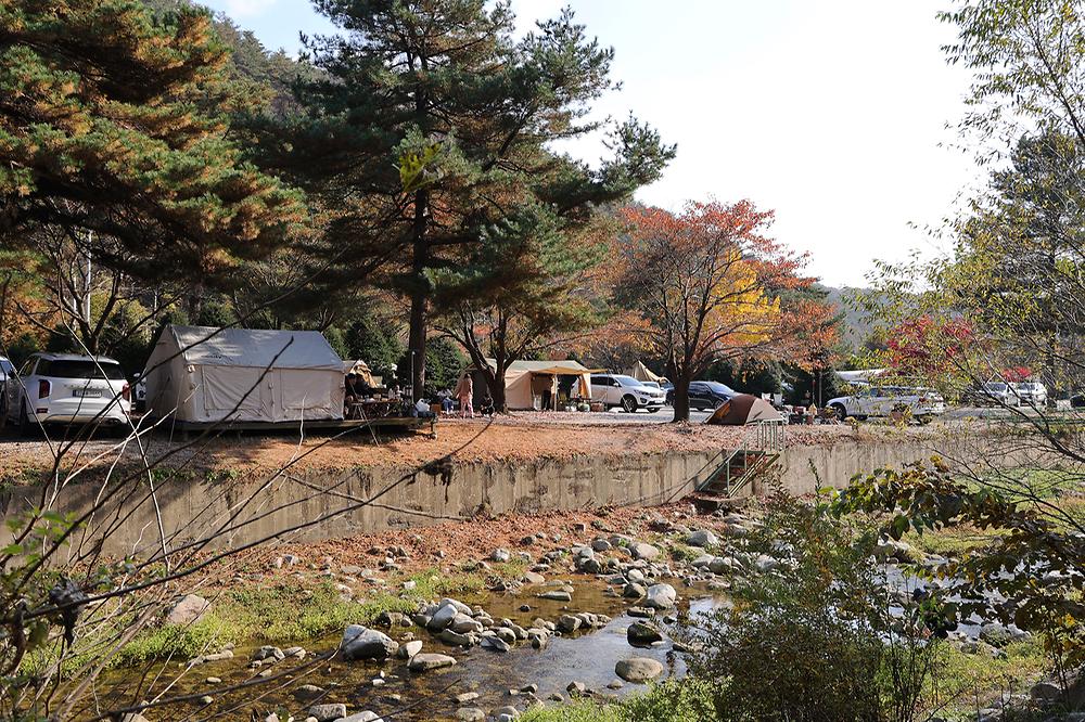 스마일캠핑장