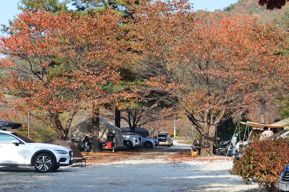 스마일캠핑장