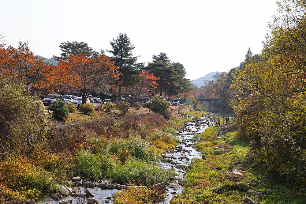 스마일캠핑장