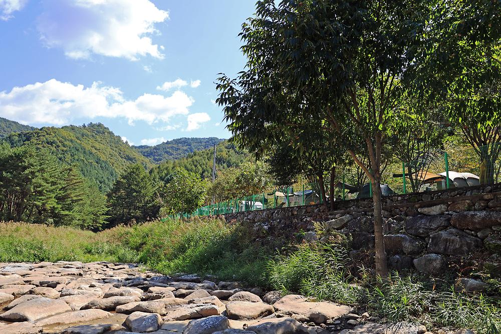 보랏빛오토캠핑장