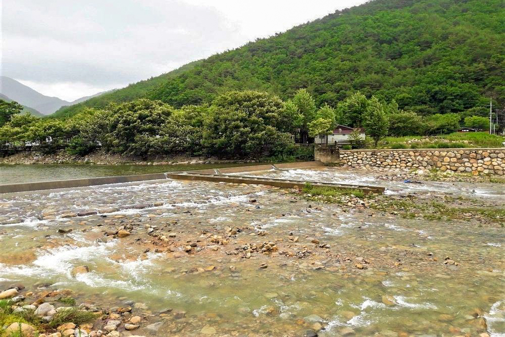 청도 사계절 캠핑장