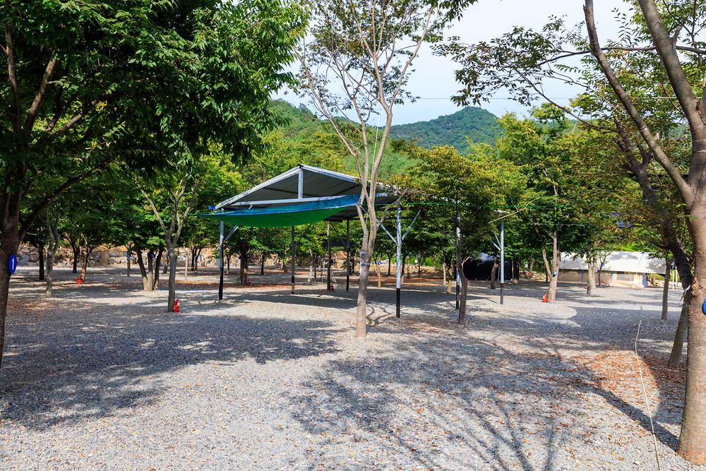 청도 사계절 캠핑장