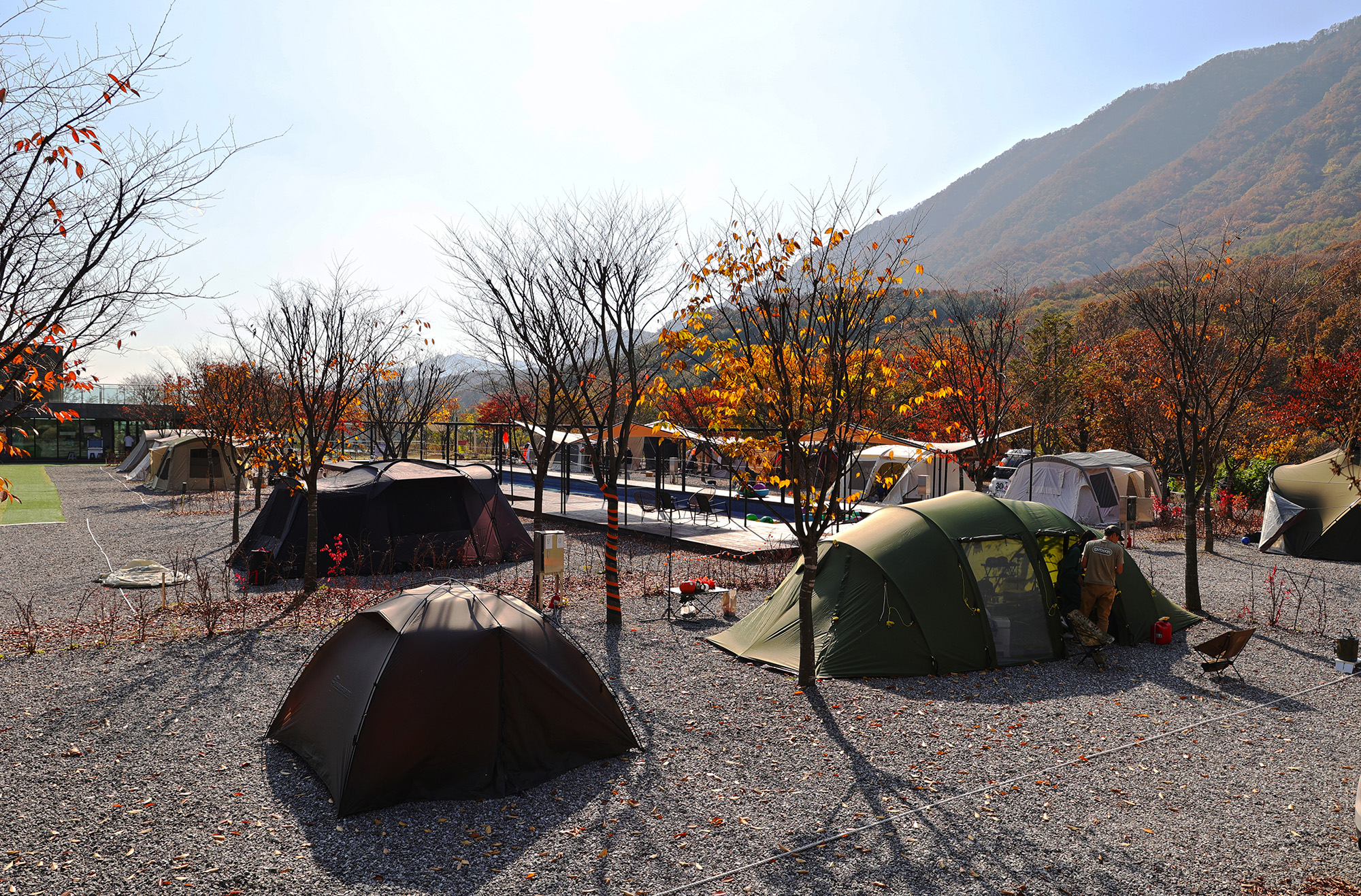 캠프원