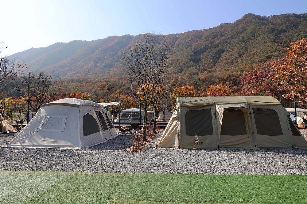 캠프원