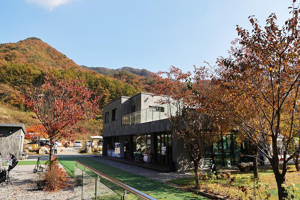 캠프원