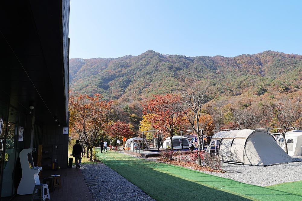 캠프원