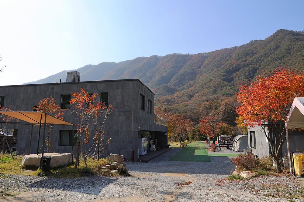 캠프원