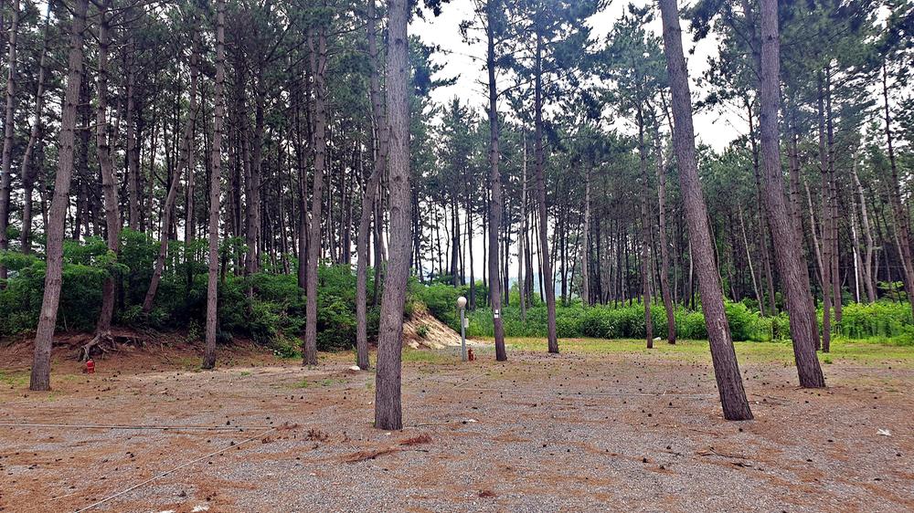 가든글램핑 캠핑장