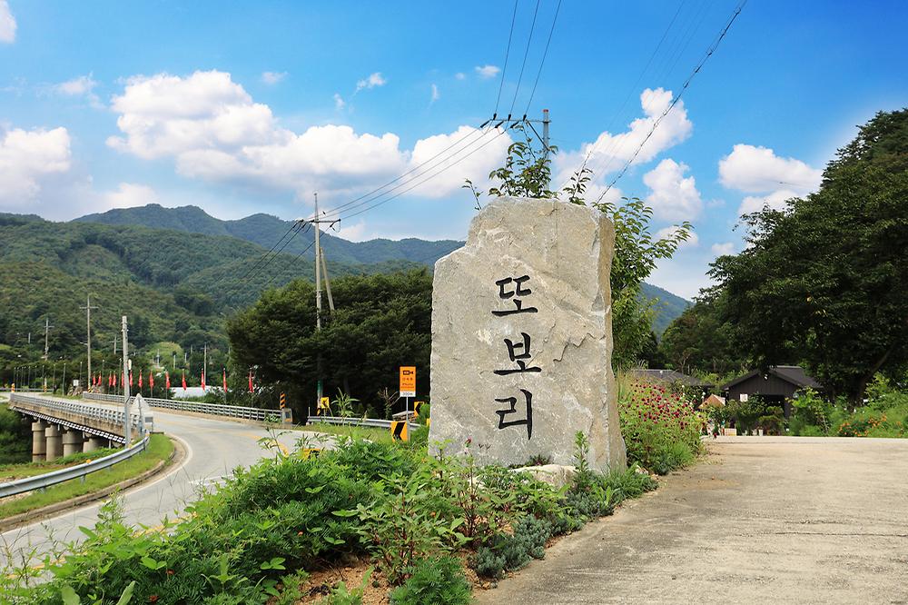 또보리 캠프