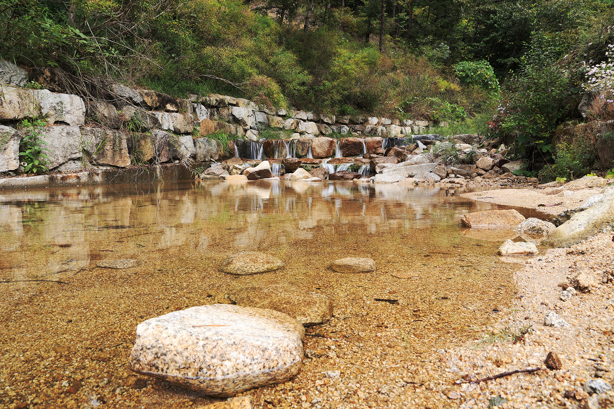 용화산테마파크 캠핑장