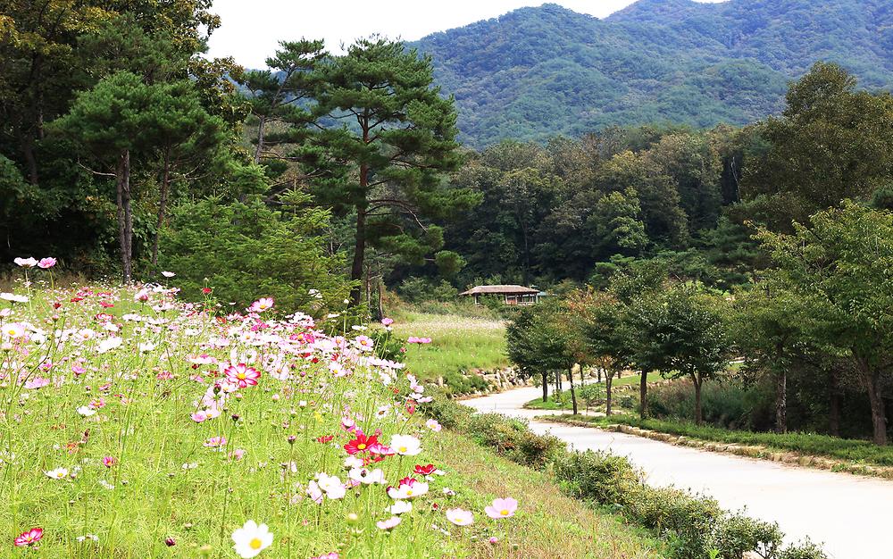 용화산테마파크 캠핑장