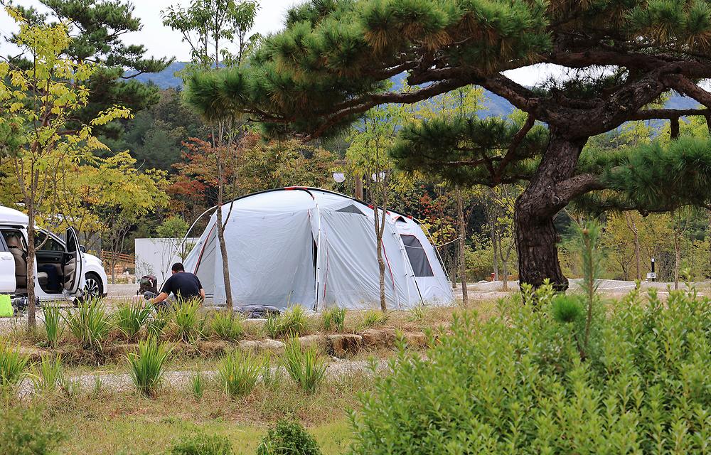 용화산테마파크 캠핑장