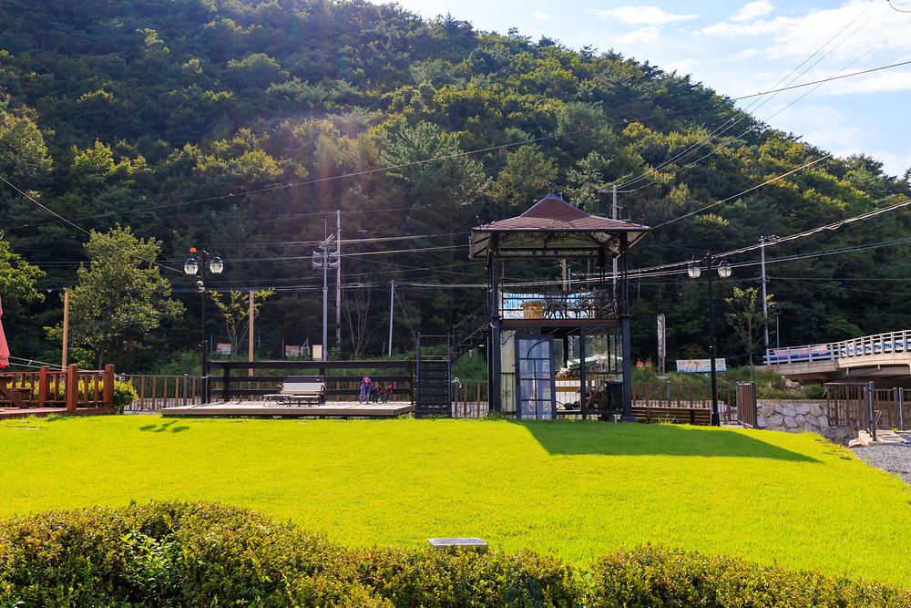 그로브(grove)캠핑