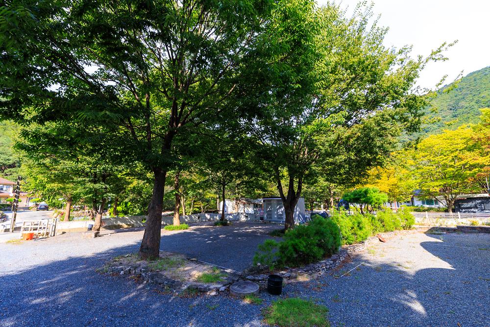그로브(grove)캠핑