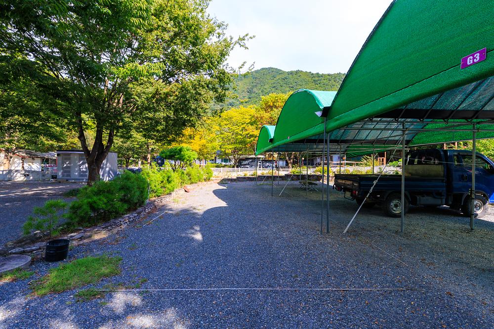 그로브(grove)캠핑