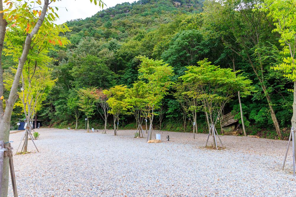 신월리 오토캠핑장