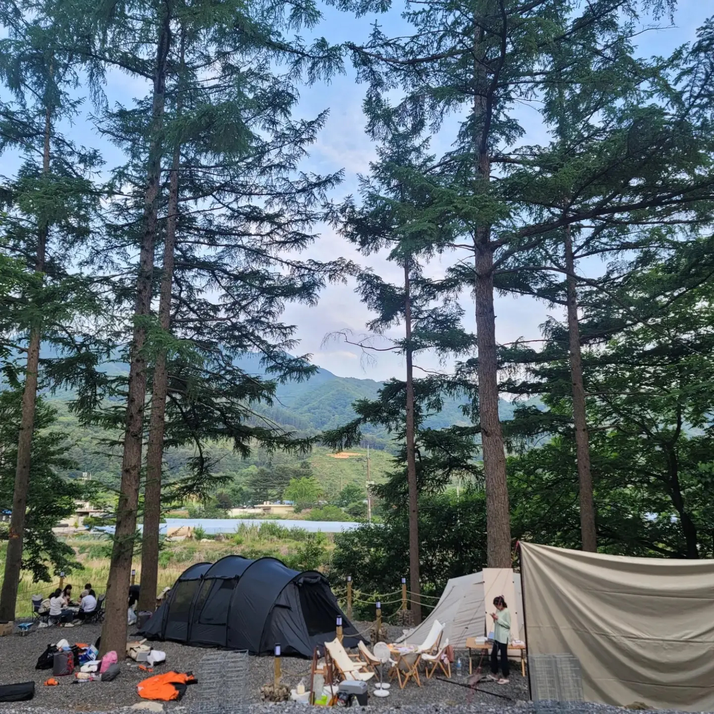 캠프99 신관
