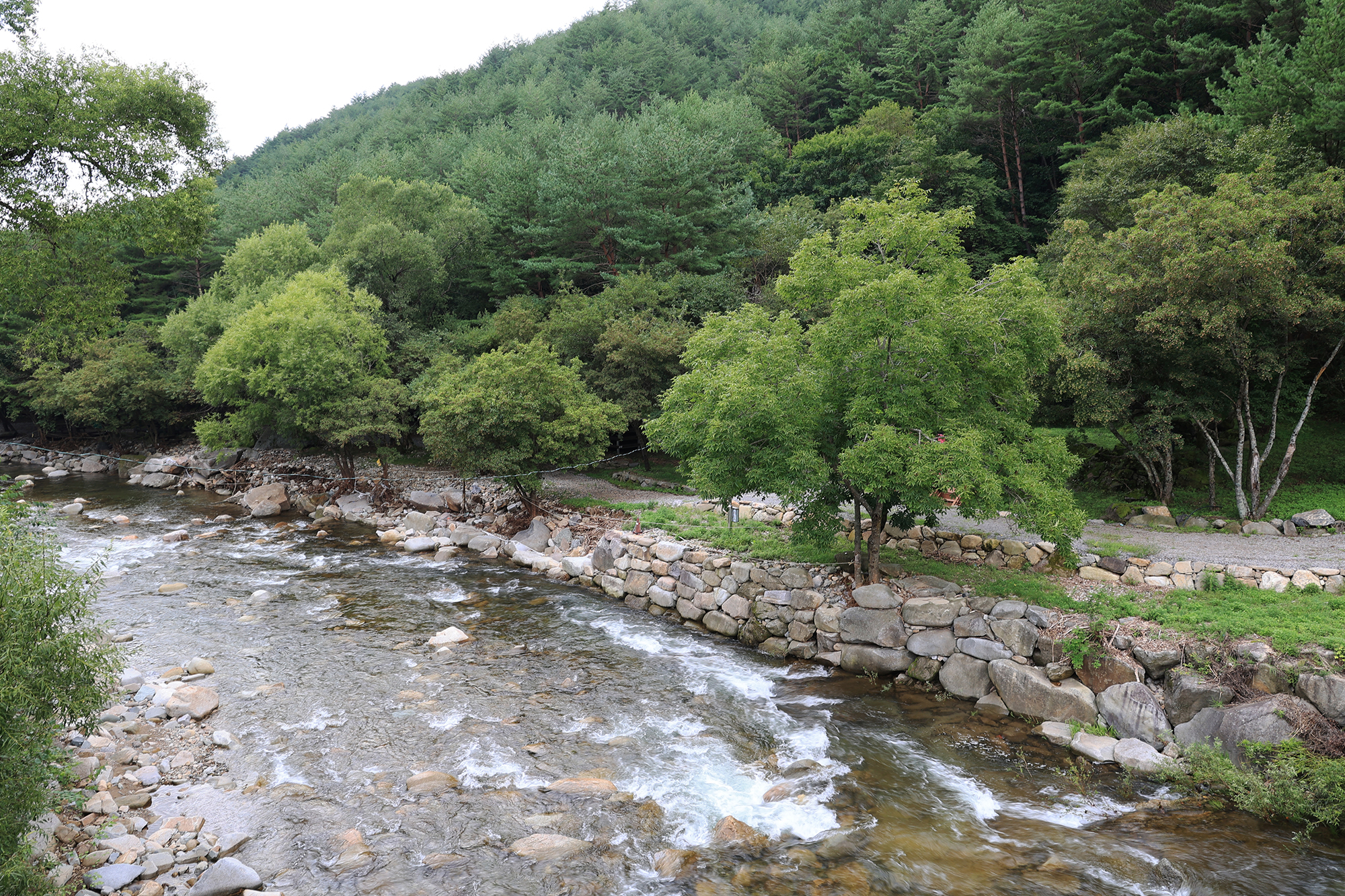 상동 장산 야영장