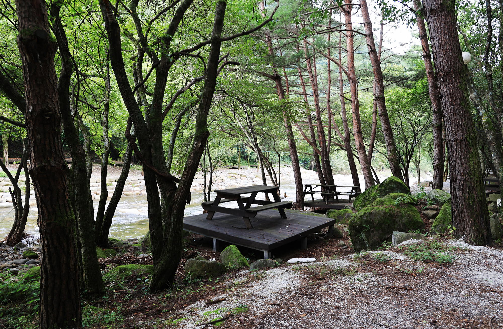 상동 장산 야영장