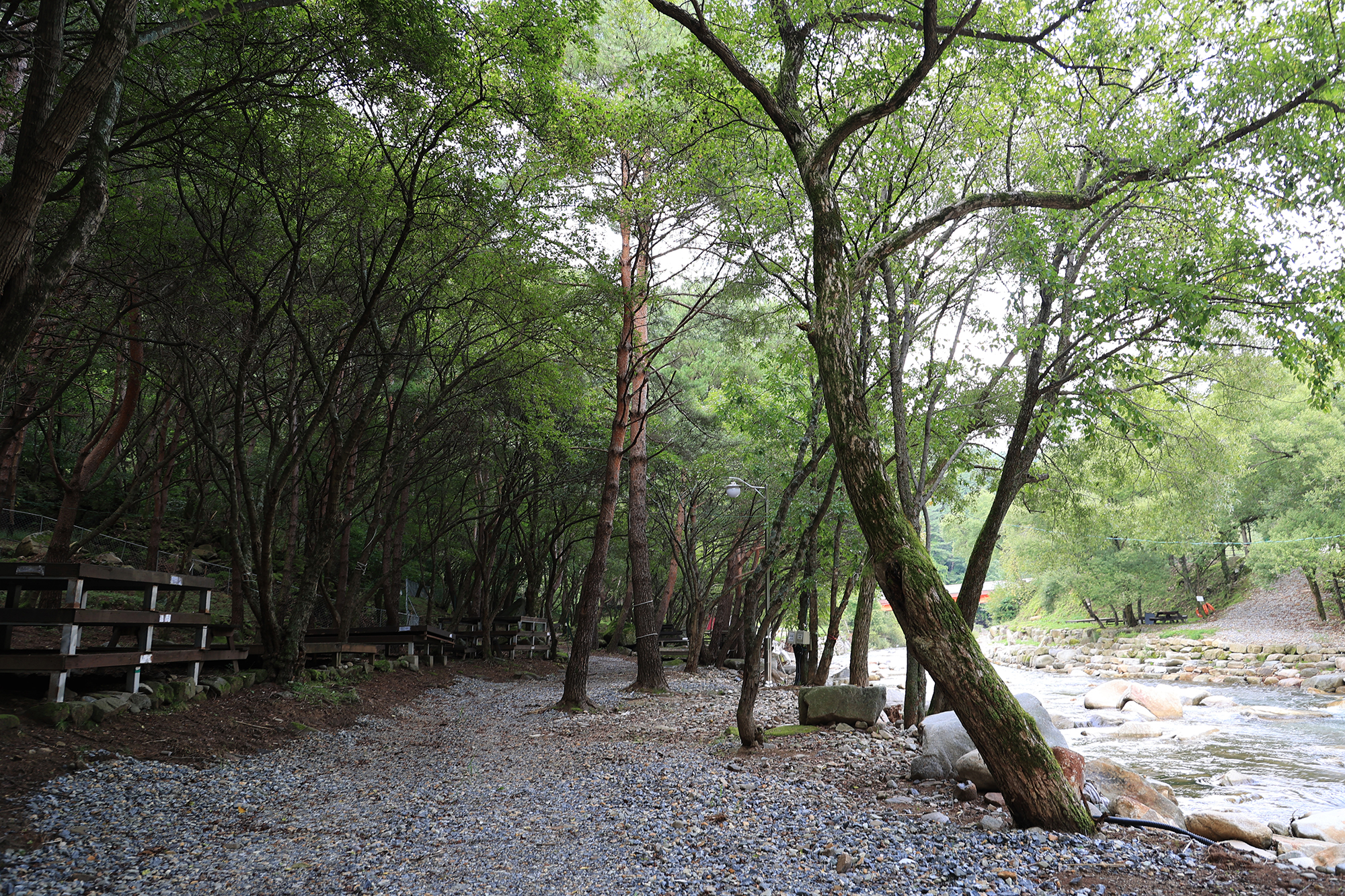 상동 장산 야영장