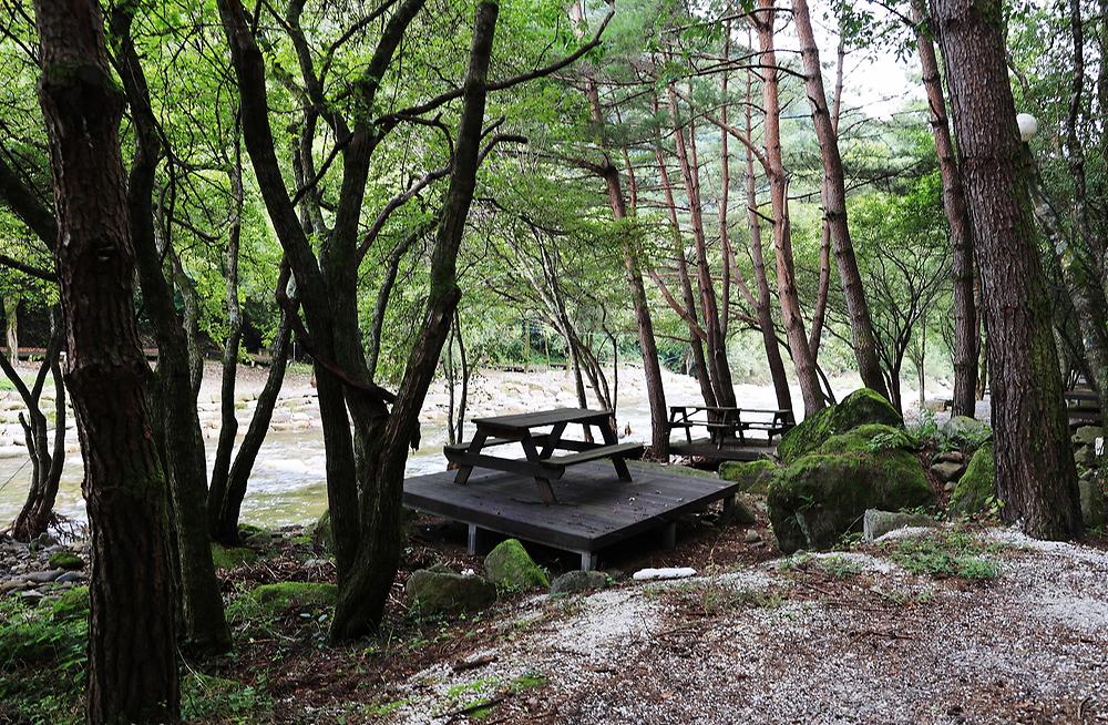 상동 장산 야영장