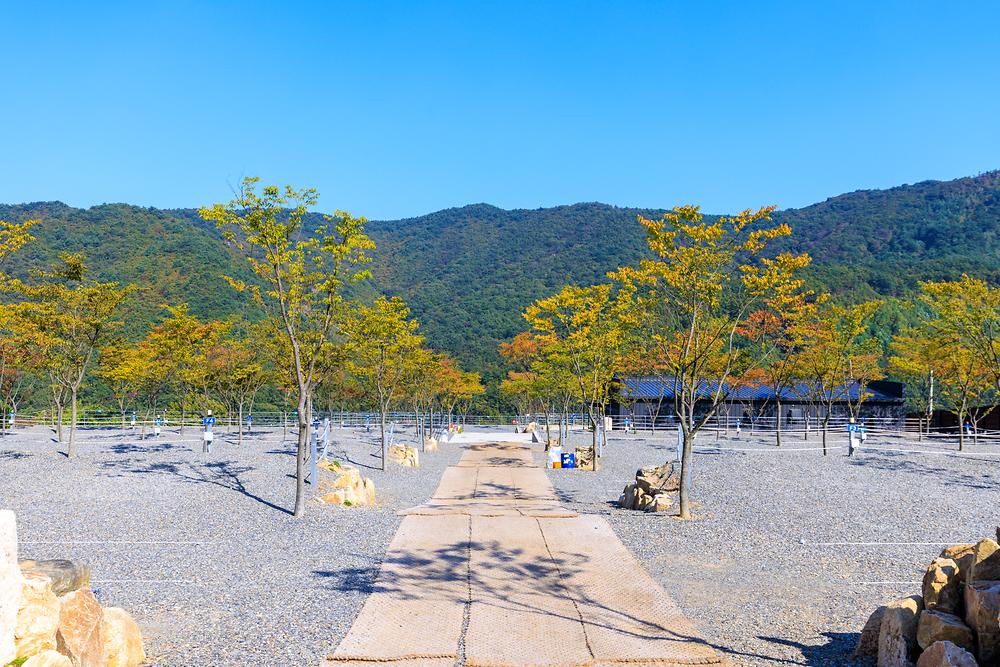 문두리 캠핑장
