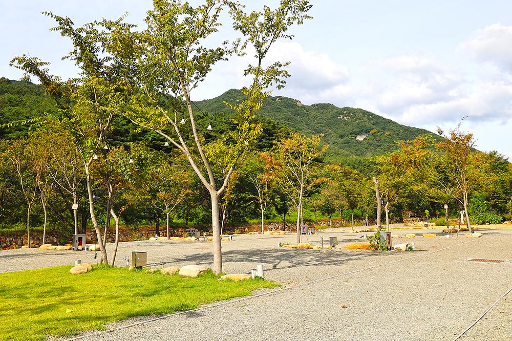 화왕산오토캠핑장