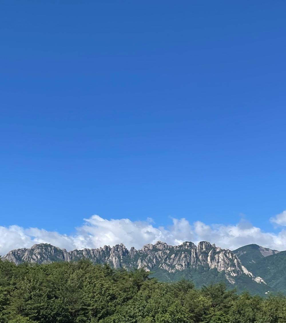 고라니 오토캠핑장