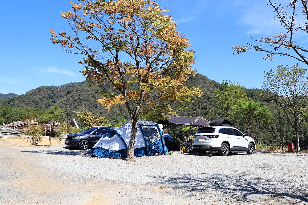 도담캠핑장