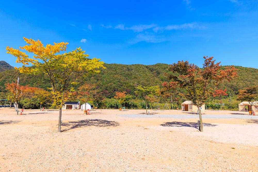 돌고래 오토 캠핑장