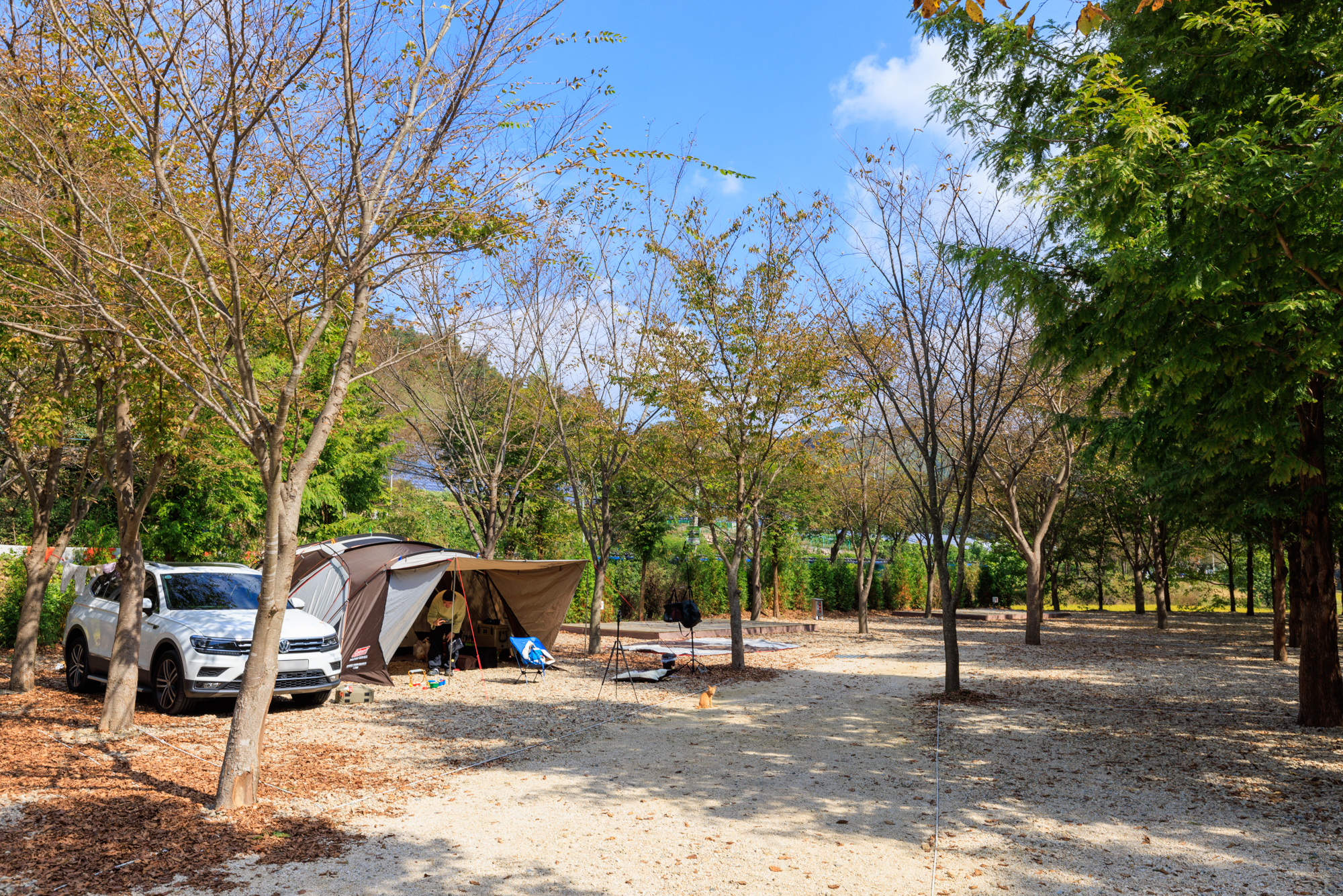 금산 자연 오토캠핑장