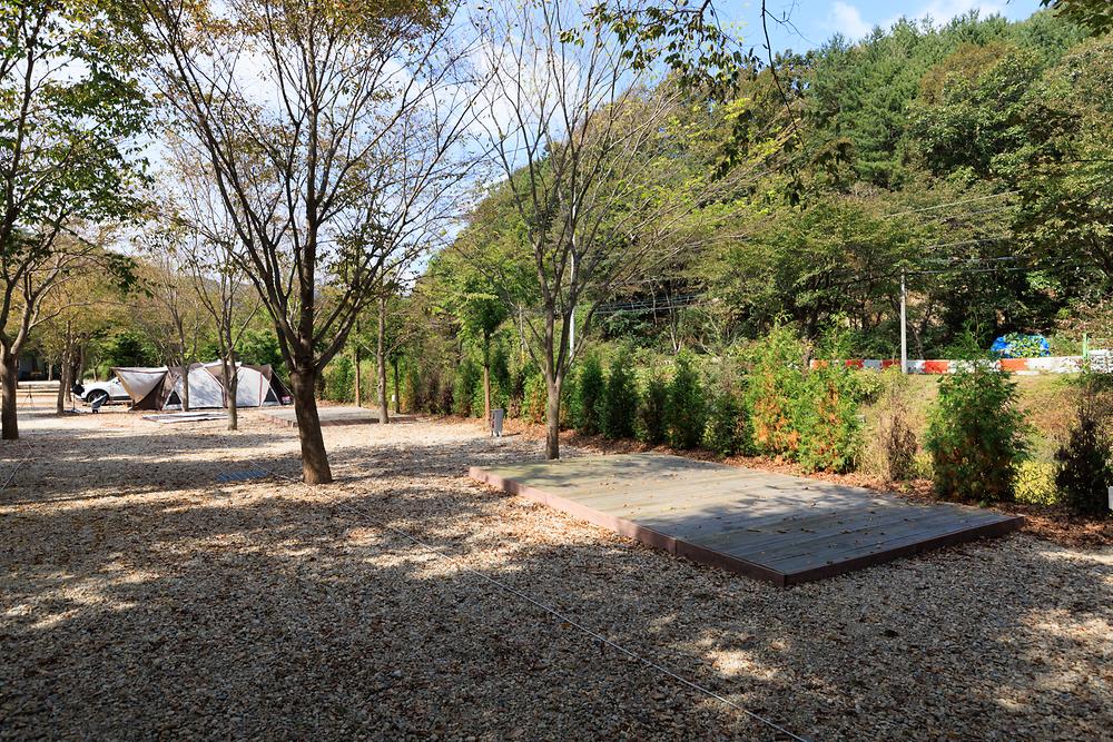 금산 자연 오토캠핑장