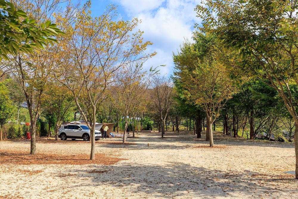 금산 자연 오토캠핑장