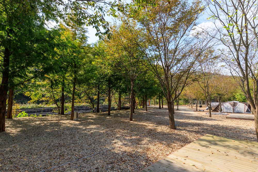 금산 자연 오토캠핑장
