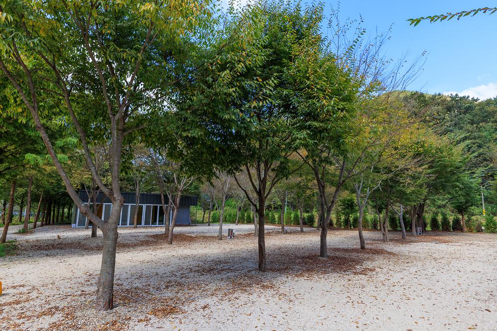 금산 자연 오토캠핑장
