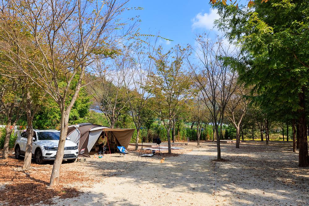 금산 자연 오토캠핑장