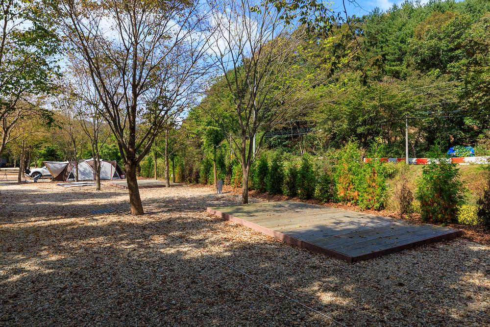 금산 자연 오토캠핑장