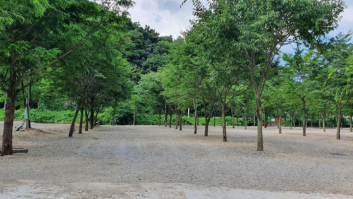 금산 자연 오토캠핑장