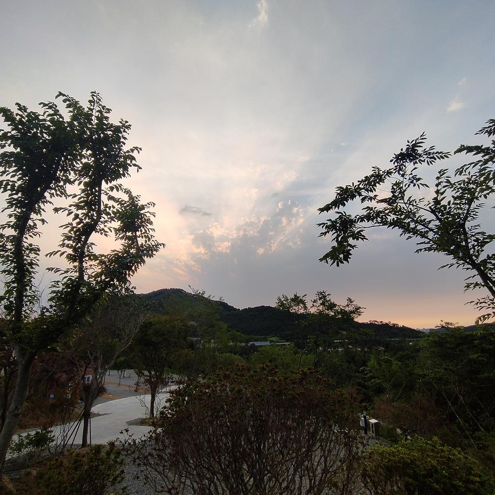 노을숲캠핑장