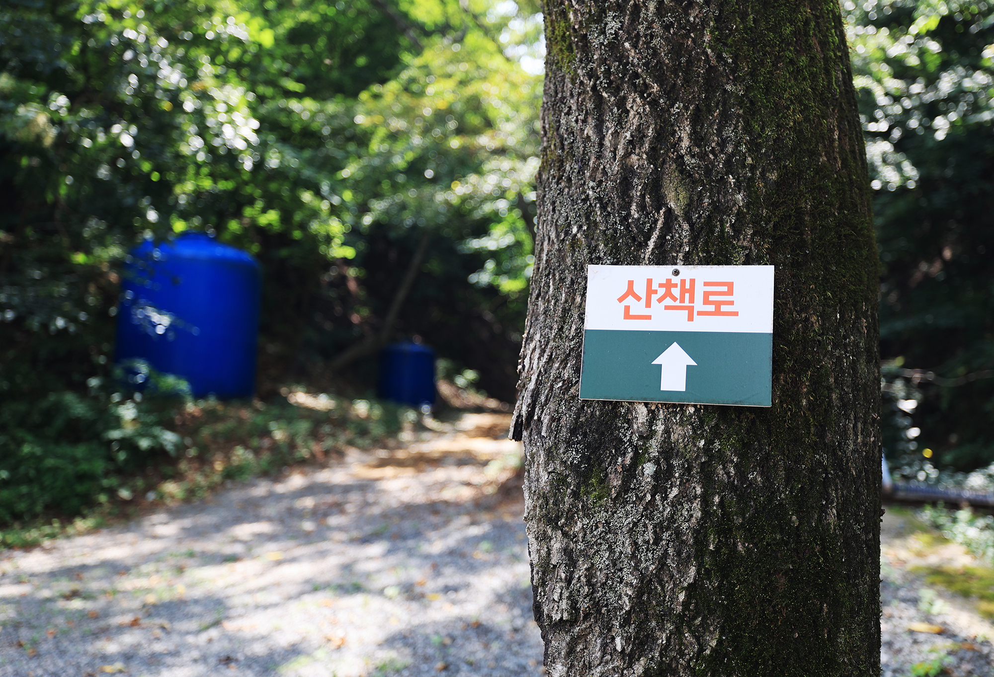 비발디 캠핑파크 설악오색점