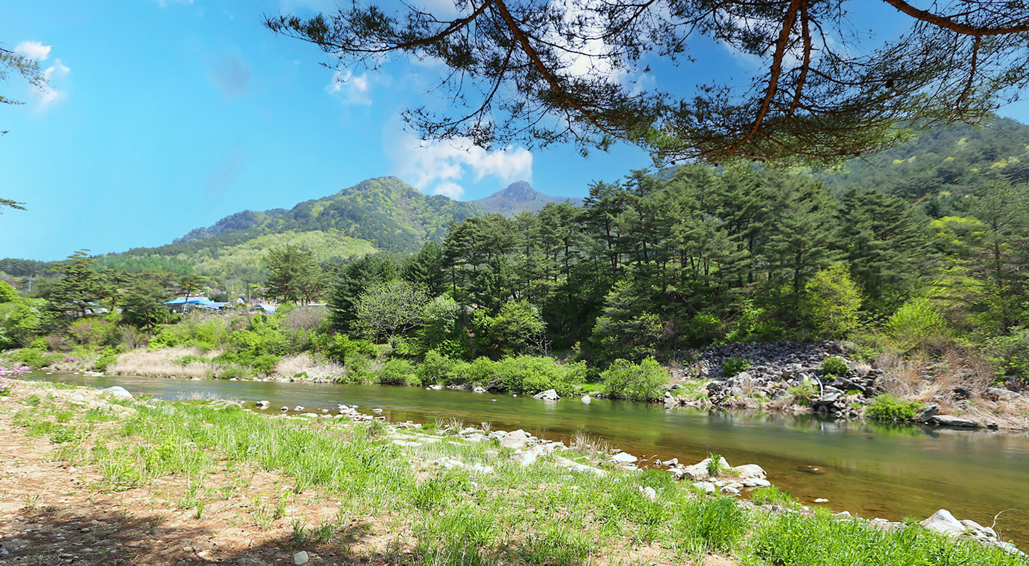 리버파크 캠핑&글램핑