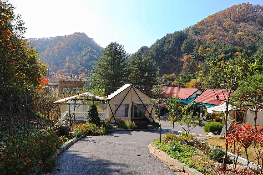 테라스527 캠핑장