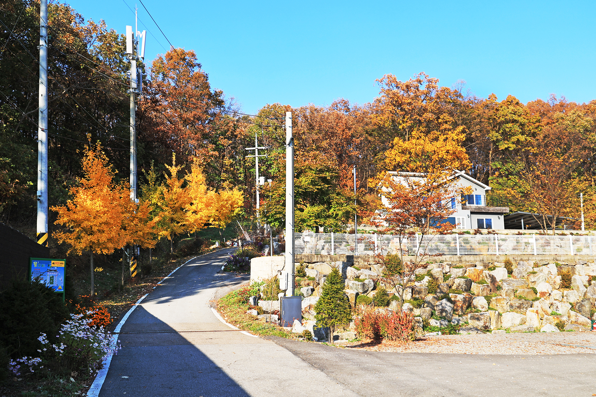 달그린캠프