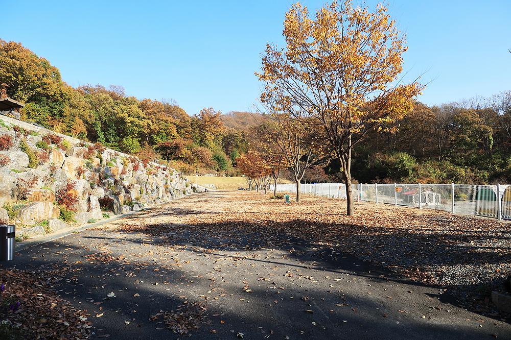 달그린캠프
