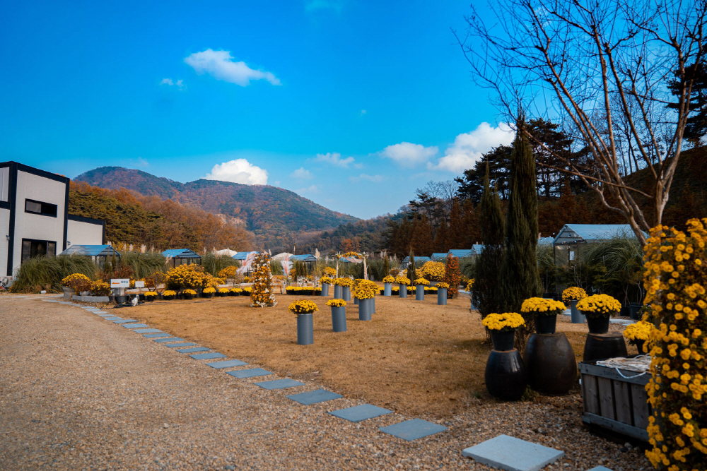 더힐링식물원 야영장