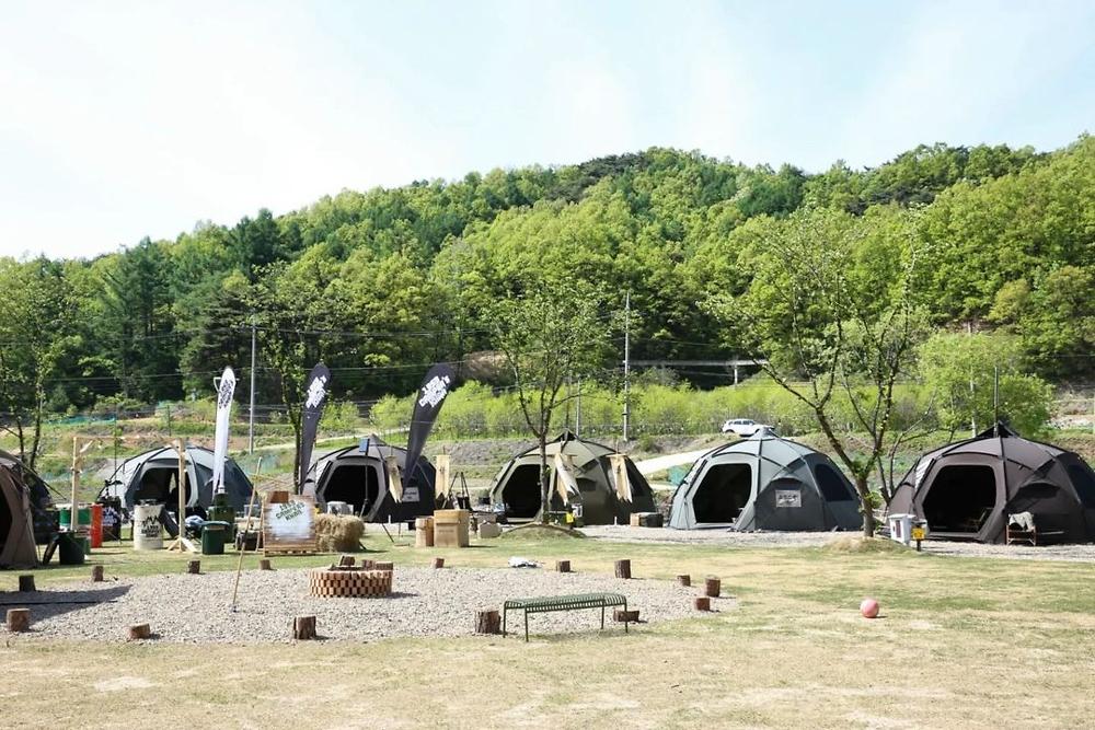 캠핑에 바나나