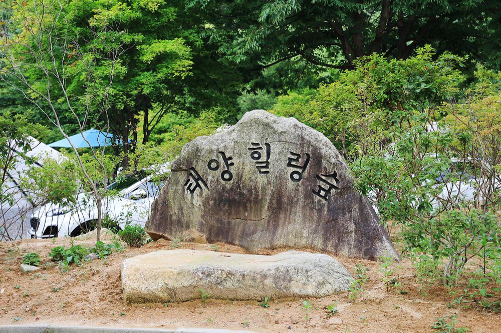 태양힐링숲